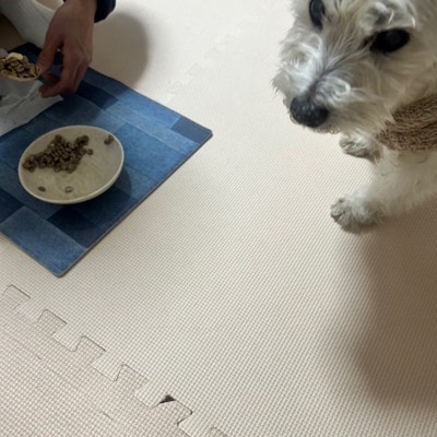 ちーちゃん