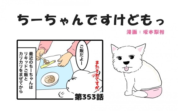 ちーちゃんですけどもっ【第353話】「とにかく時間がかかる」