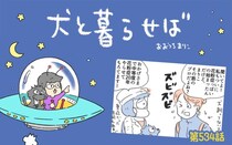 犬と暮らせば【第534話】「春というジレンマ」