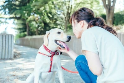 屋外で犬を褒める女性