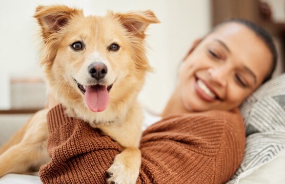 犬を『幸せにする』方法５選　日々の暮らしに満足しているかどうかを判断する方法まで