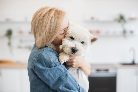 犬を『嫌な気持ち』にさせる飼い主の行動5つ　無意識にやってない？改善すべきタブー行為とは
