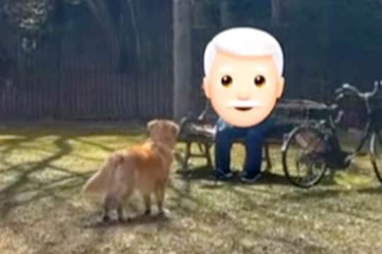 公園でラッパを吹くおじいちゃん→興味津々の大型犬が、目の前まで行って…まさかのリアクションが71万再生「厳しい指導官ｗ」「絶対音感犬」