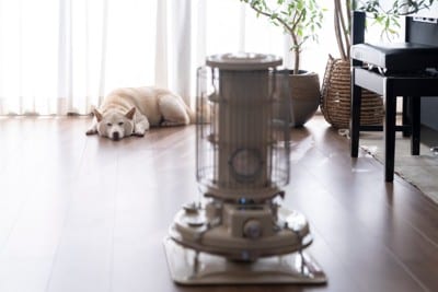 ストーブと犬