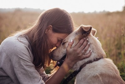 頭を寄せ合う人と犬