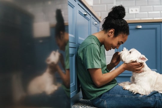 犬が『飼い主に話しかけられた』ときの心理5選 声をかけるメリットや注意点まで