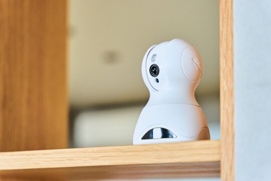 犬との暮らしであるといい『便利グッズ』3つ QOLを上げるオススメ用品とは?