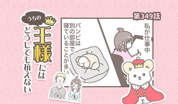 うちの王様にはどうしても抗えない【第349話】「何してたんだろう」
