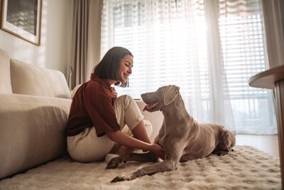 見つめ合う犬と女性