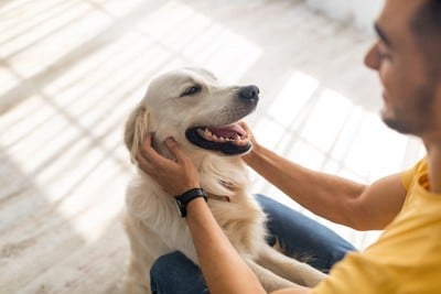 男性になでられている犬
