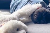 母が『大きな声で息子を叱った』結果→大型犬がかばって…顔に出すぎている『ブチギレの表情』が198万再生「圧ｗｗ」「めっちゃ慰めてる」
