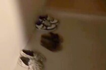 深夜に帰宅し『さすがに犬のお出迎えはないかな』と思ったら…電気をつけた瞬間→『まさかの光景』が18万再生「たまらない」「最高の時間」