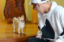 『じゃあ、行ってくるで』パパが外出→犬が玄関で待ち続けて…あまりにも健気な『お留守番の様子』に反響「愛感じる」「文句言ってて可愛いｗ」