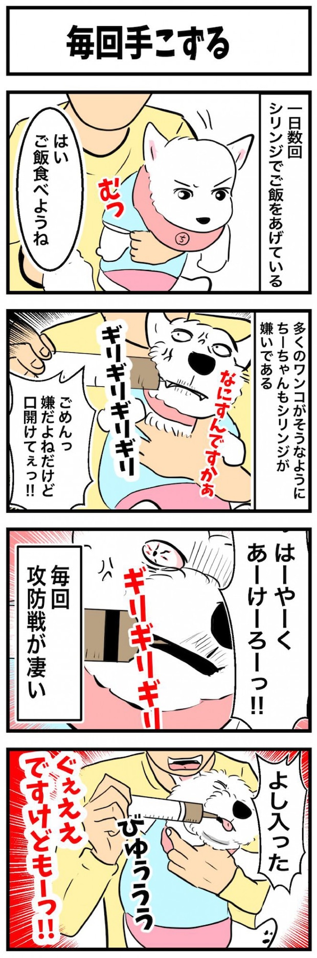 ちーちゃんですけどもっ【第354
話】　1