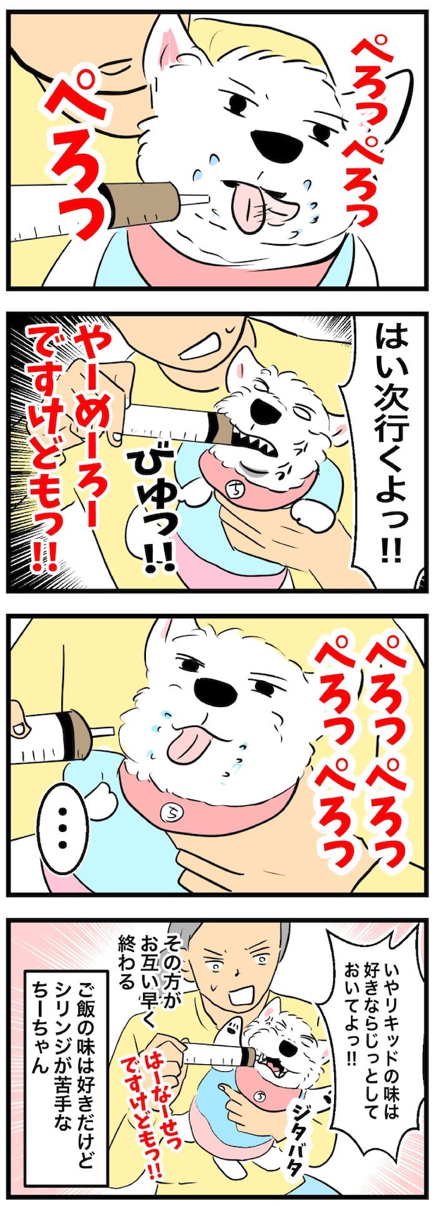 ちーちゃんですけどもっ【第354
話】　2