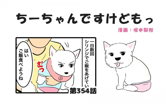 ちーちゃんですけどもっ【第354話】「毎回手こずる」