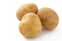 犬は『じゃがいも』を食べても大丈夫？与える際の絶対NG行為や注意点まで