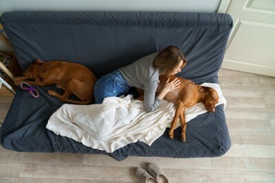 犬を心配する女性