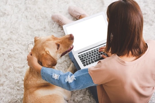 犬が『飼い主の近くに座る』心理4つ 可愛すぎる意外な理由や適切な対応までご紹介