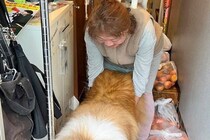 犬が外に出ないように抑えていたら、背中に違和感が…まさかの『ブレーメンの音楽隊』になる光景が20万表示「爆笑した」「可愛い世界すぎる」