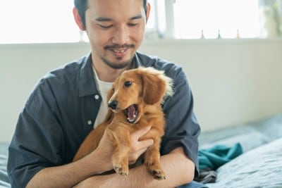 抱っこ、はしゃぐダックス