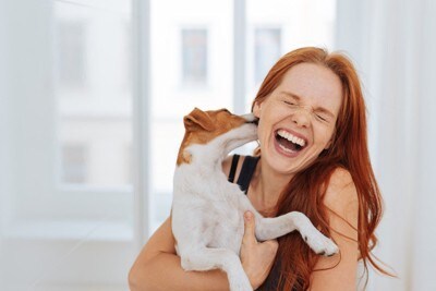 女性にキスしている犬