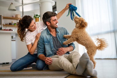 夫婦と犬