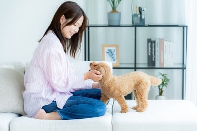 愛犬と触れ合う女性