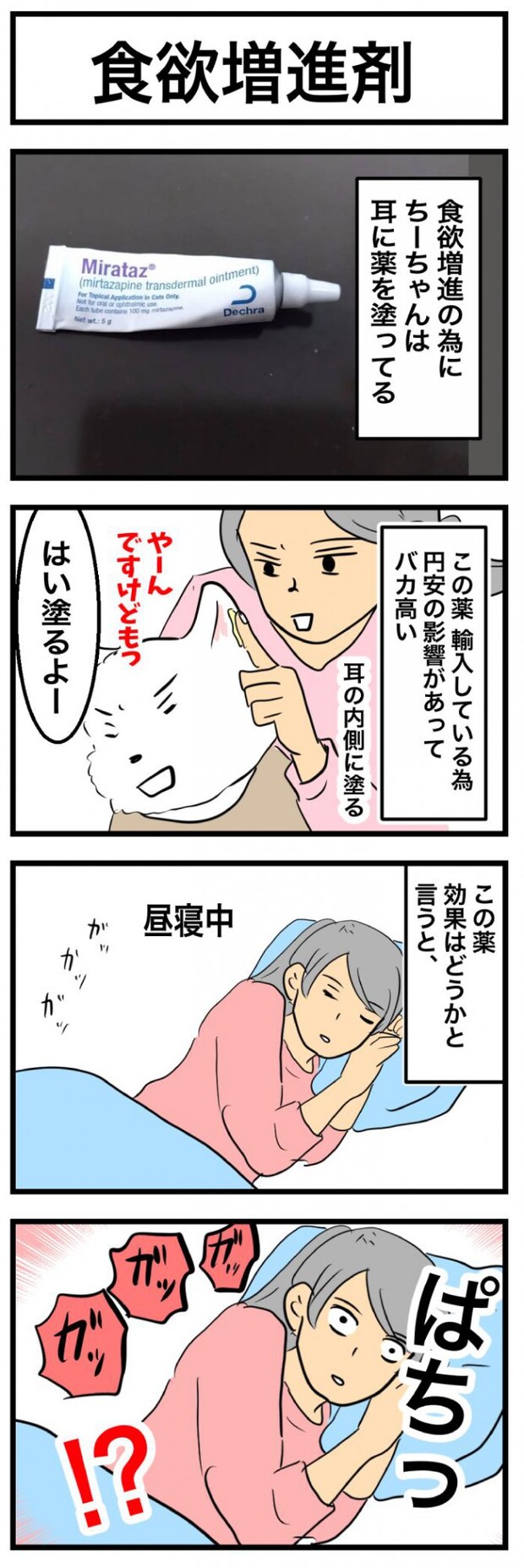 ちーちゃんですけどもっ【第355話】　1
