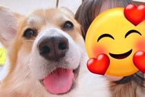 犬と撮影した『盛れた写真』→実は何度か撮っていて…あまりに愛おしい『盛れなかったパターン』に1万いいね「どこ見てんだろｗ」「かわいい」