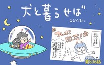 犬と暮らせば【第536話】「この時期一番気になるコト」
