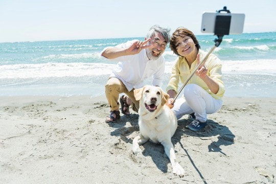 犬を『スマホで撮影』飼い主の絶対NG行為3選　誤った認識が愛犬の体に負担となることも