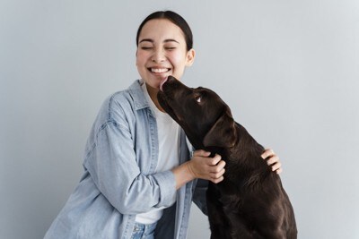 キスをする犬