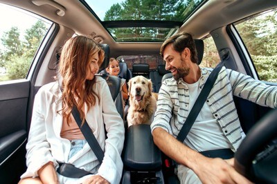 車内の家族と犬