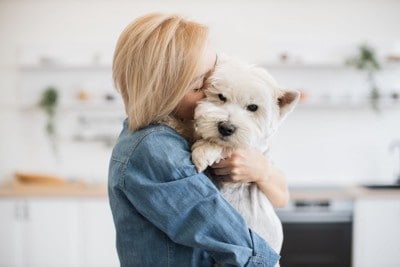 白い犬を抱きしめる