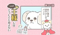 うちの王様にはどうしても抗えない【第351話】「目やに問題」