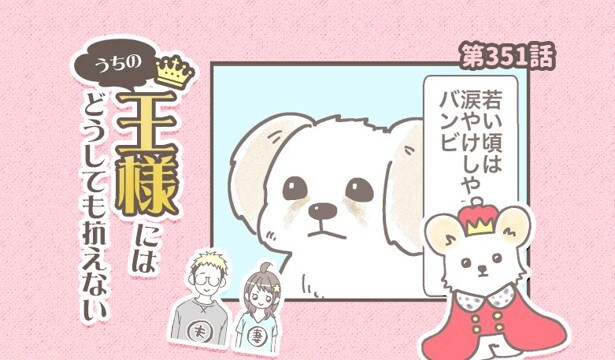 うちの王様にはどうしても抗えない【第351話】「目やに問題」