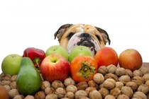 犬が食べていい果物！与える際の注意点や食べてはいけないものも解説