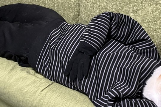 『あんなに小さかった犬が…』まさかの人間サイズに?シュールで可愛らしい光景に3万いいね「ほんと大人になってww」「でけえ…!」と反響
