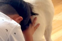 叱られてしまった男の子→拗ねながら、犬に近づいて…慰めるように『背中を貸してあげる光景』が尊いと反響「なんて優しい」「お兄ちゃんみたい」