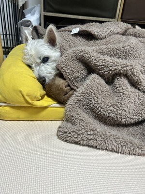 ちーちゃん