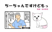 ちーちゃんですけどもっ【第356話】「夜の徘徊のお話」