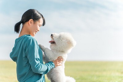 公園で遊ぶ犬と女の子