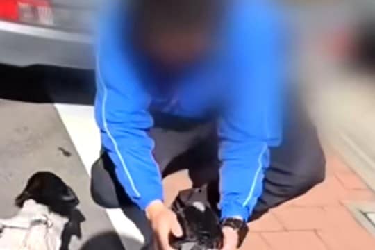 大好きな『佐川急便のお兄さん』を見つけた犬たち→一目散に駆け寄って…あまりにも尊い『相思相愛な光景』に反響「癒された」「疲れ吹っ飛ぶ」