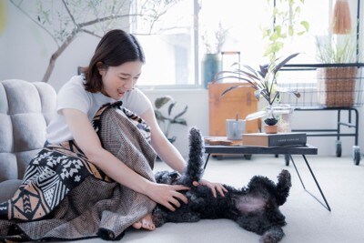 犬を撫でる女性