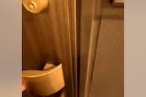 家に帰りドアを開けると、いつも犬が『おかえり』と駆け寄ってきて…あまりにも愛おしい『寝起きでのお出迎え』が42万再生「疲れも吹き飛ぶ」