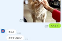 LINEで『犬にご飯をあげたか？』を家族に確認した結果→『まさかの表情』に5万いいね集まる「可愛すぎるｗ」「演技派でマジ天才」と絶賛の声