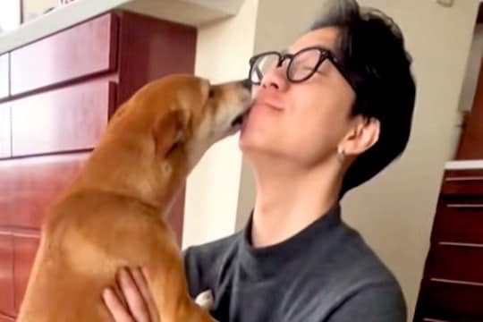 犬に内緒で『息子が１年ぶりに帰省した』結果→顔を合わせた瞬間に…５分以上も続いた『熱烈大歓迎』に感動続々「涙が出そう」「いやもう尊い…」