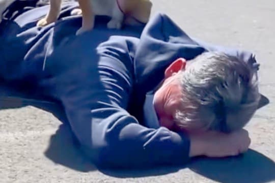 犬のリードが手から外れ、父が見事『ダイビングキャッチした』と思ったら…想定外な『まさかの光景』が29万再生「嬉しそうで草」「安全地帯ｗ」