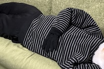 『あんなに小さかった犬が…』まさかの人間サイズに？シュールで可愛らしい光景に3万いいね「ほんと大人になってｗｗ」「でけえ…！」と反響